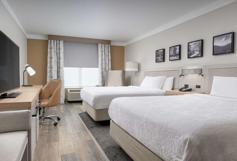 هتل Hilton Garden Inn Chattanooga Downtown