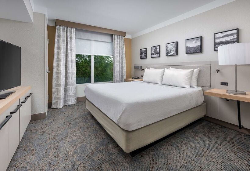 هتل Hilton Garden Inn Chattanooga Downtown