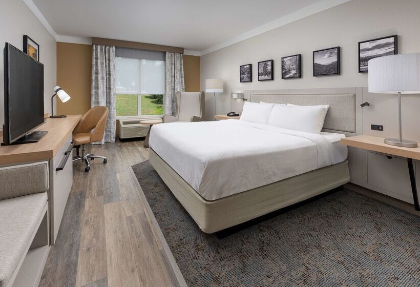 هتل Hilton Garden Inn Chattanooga Downtown