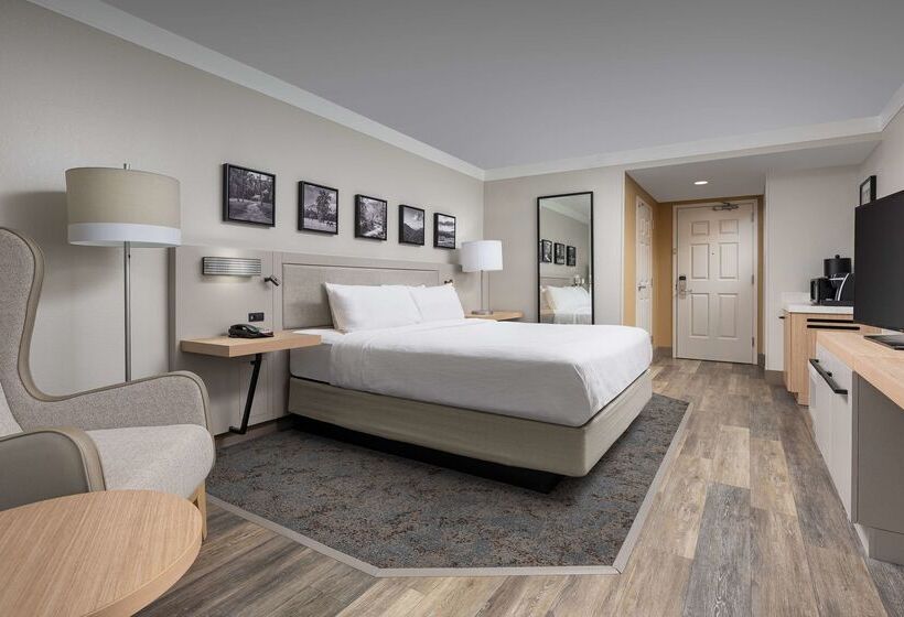 هتل Hilton Garden Inn Chattanooga Downtown