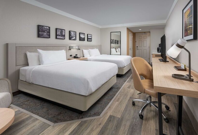 هتل Hilton Garden Inn Chattanooga Downtown