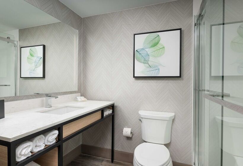 هتل Hilton Garden Inn Chattanooga Downtown