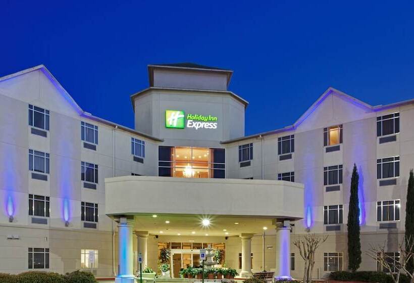 Holiday Inn Express Hotel & Suites Houston Downtown Convention Center, An Ihg