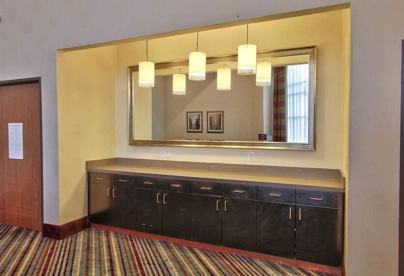 Holiday Inn Express Hotel & Suites Houston Downtown Convention Center, An Ihg