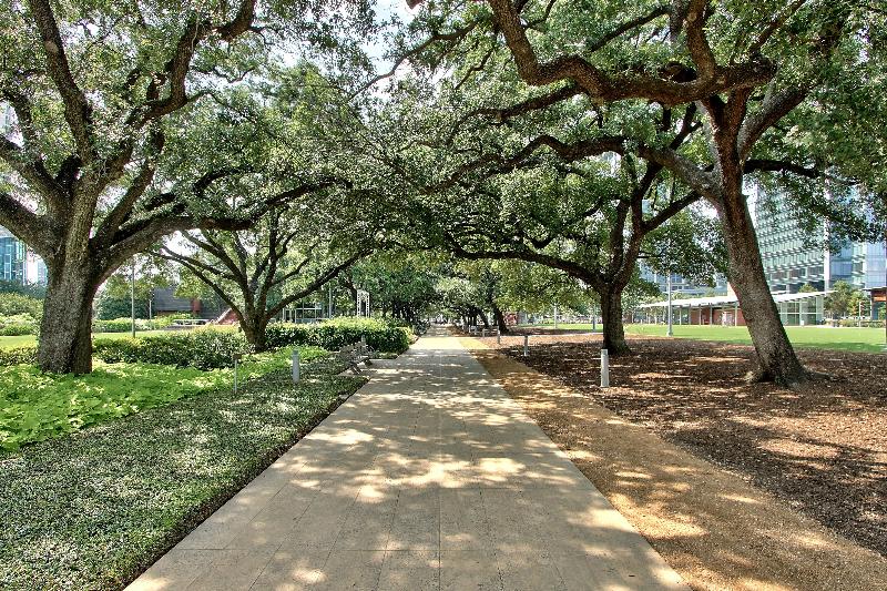 Holiday Inn Express Hotel & Suites Houston Downtown Convention Center, An Ihg