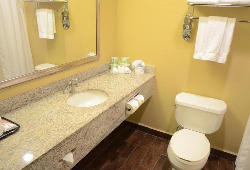 Holiday Inn Express Hotel & Suites Houston Downtown Convention Center, An Ihg