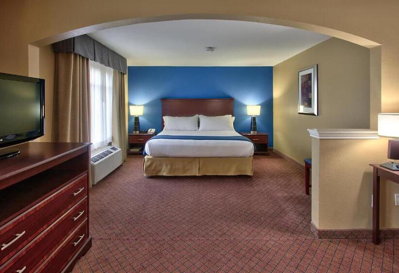 Holiday Inn Express Hotel & Suites Houston Downtown Convention Center, An Ihg