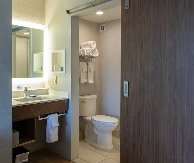 هتل Holiday Inn Express New Orleans Downtown, An Ihg