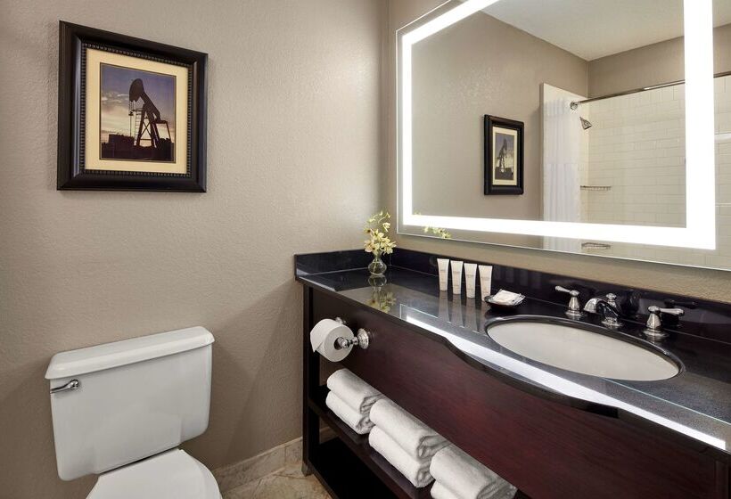 فندق Hyatt Regency Tulsa Downtown