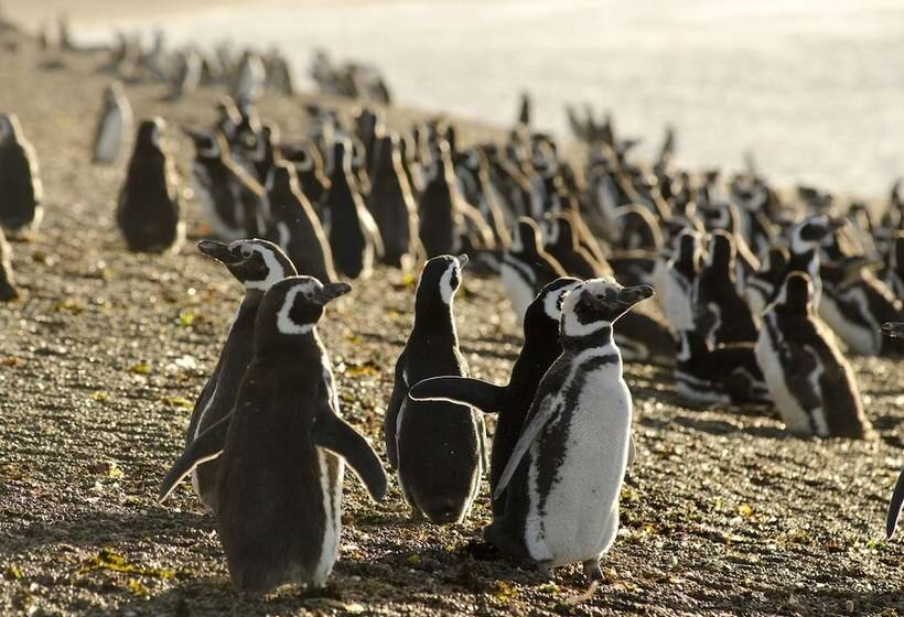 בית מלון כפרי La Tosca Hostel