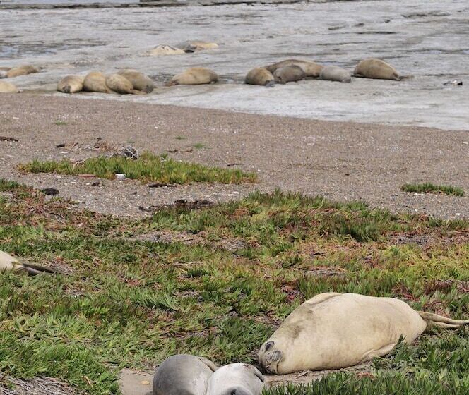 هتل La Tosca Hostel