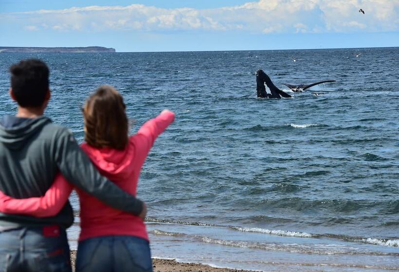 בית מלון כפרי La Tosca Hostel