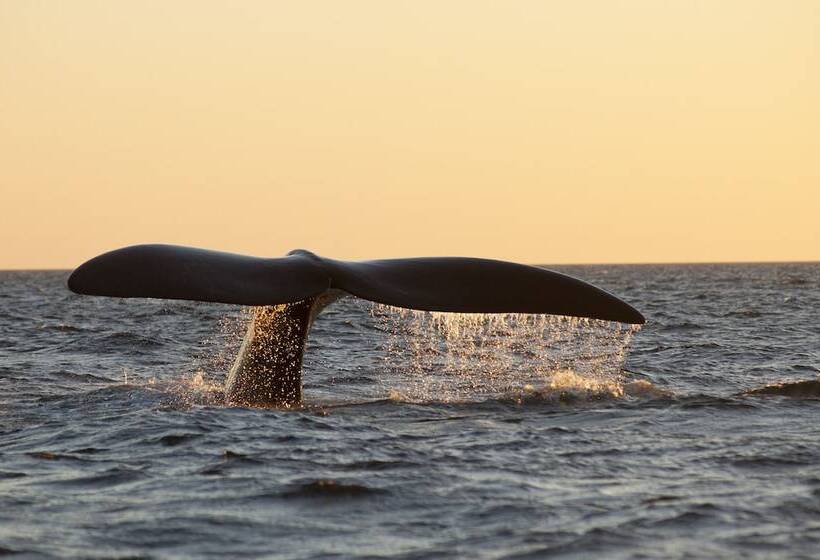 בית מלון כפרי La Tosca Hostel