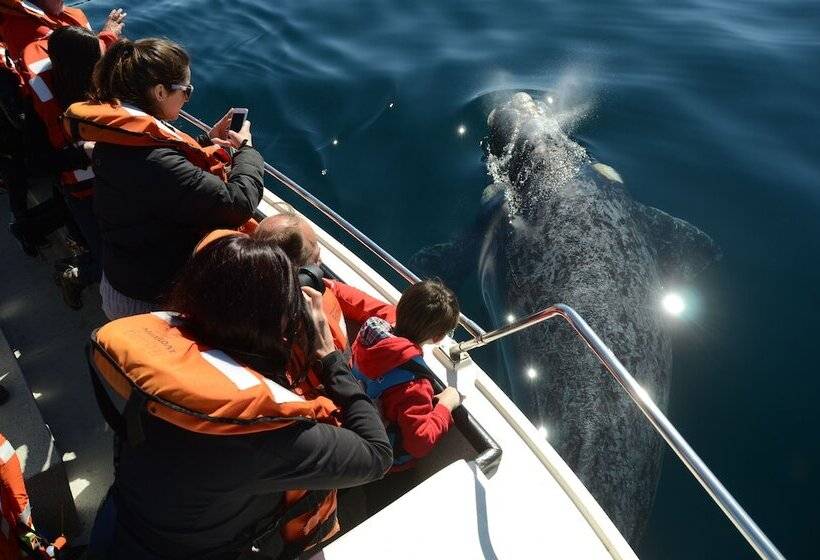 בית מלון כפרי La Tosca Hostel