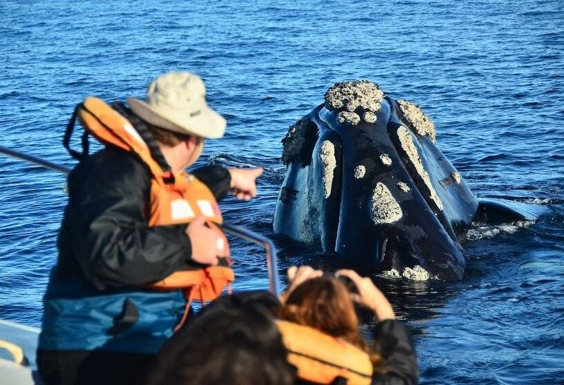 בית מלון כפרי La Tosca Hostel