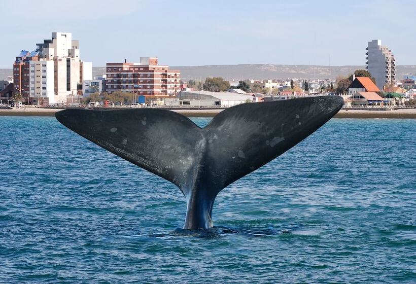 בית מלון כפרי La Tosca Hostel