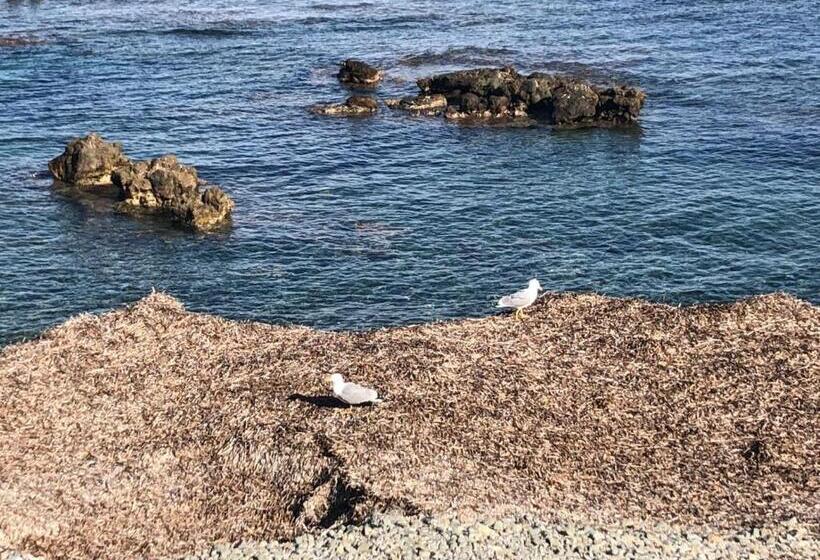 ホテル La Trancada