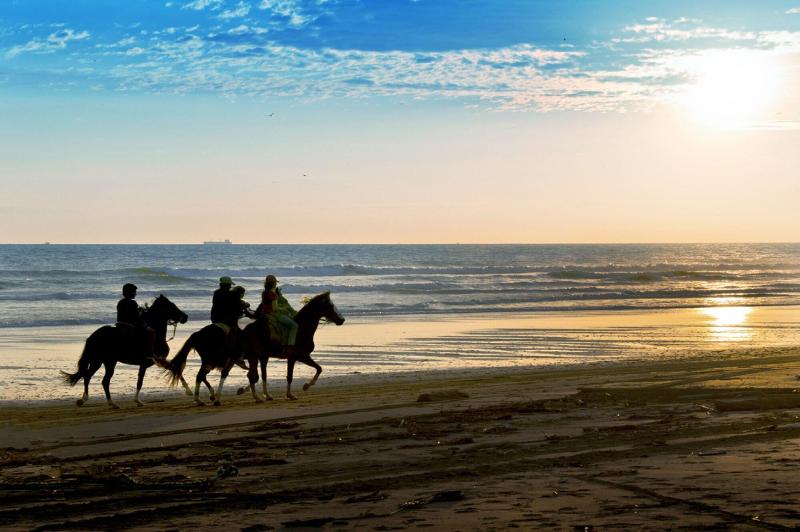 فندق Las Olas Beach Resort