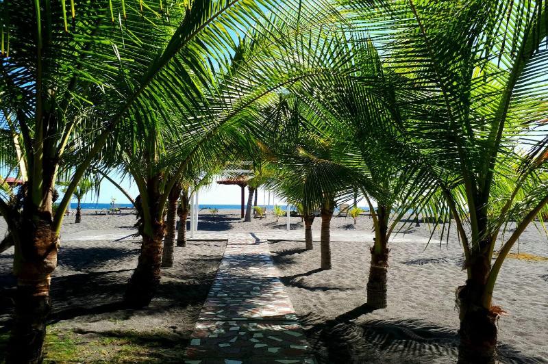 فندق Las Olas Beach Resort