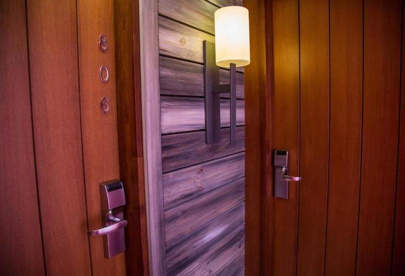 ホテル Marqués Del Mar