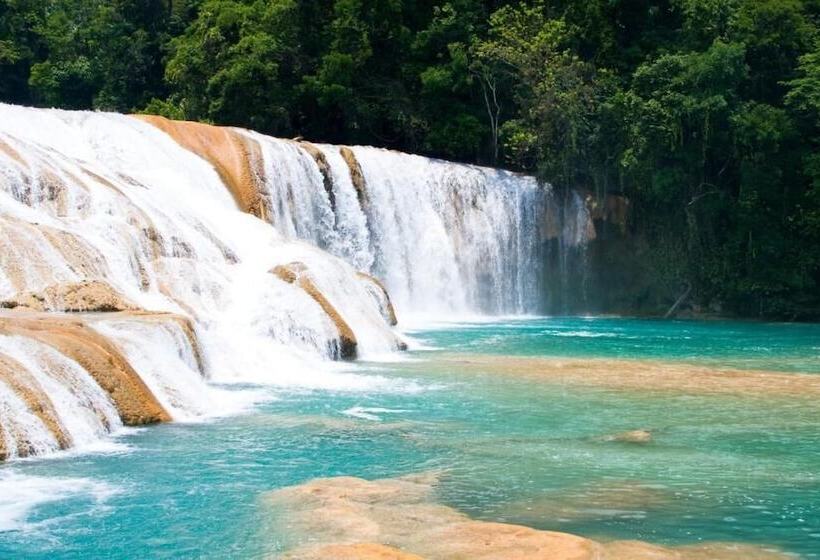 ホテル Maya Palenque