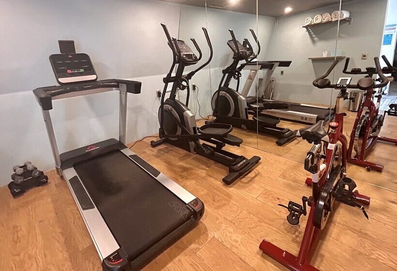 ホテル Clé Reforma Insurgentes