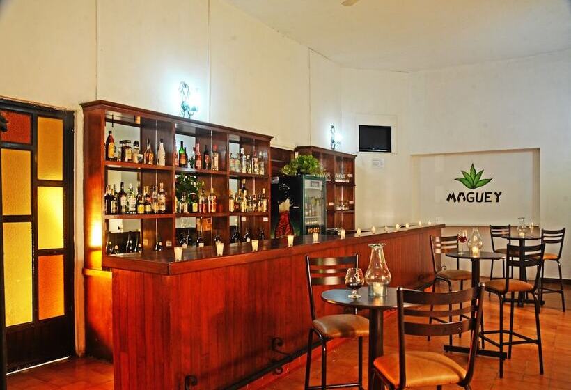 酒店 Mision Jalpan