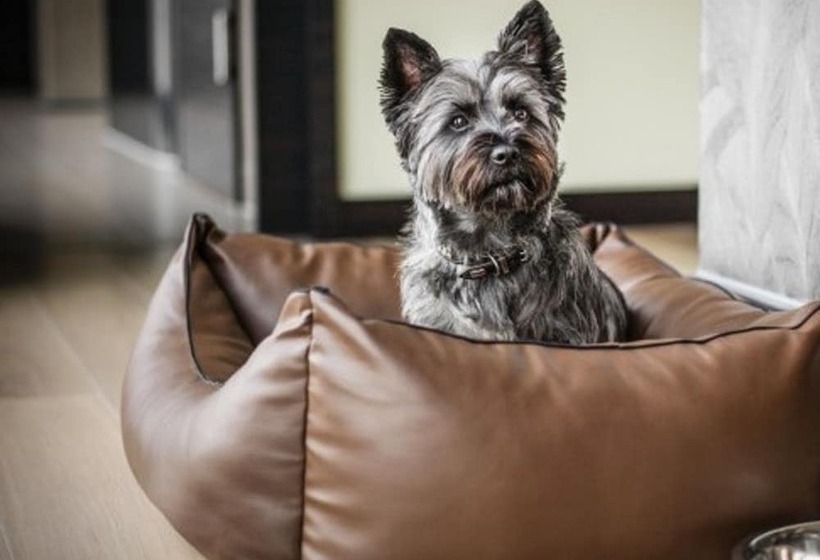 Ostia Antica Park Hotel & Spa