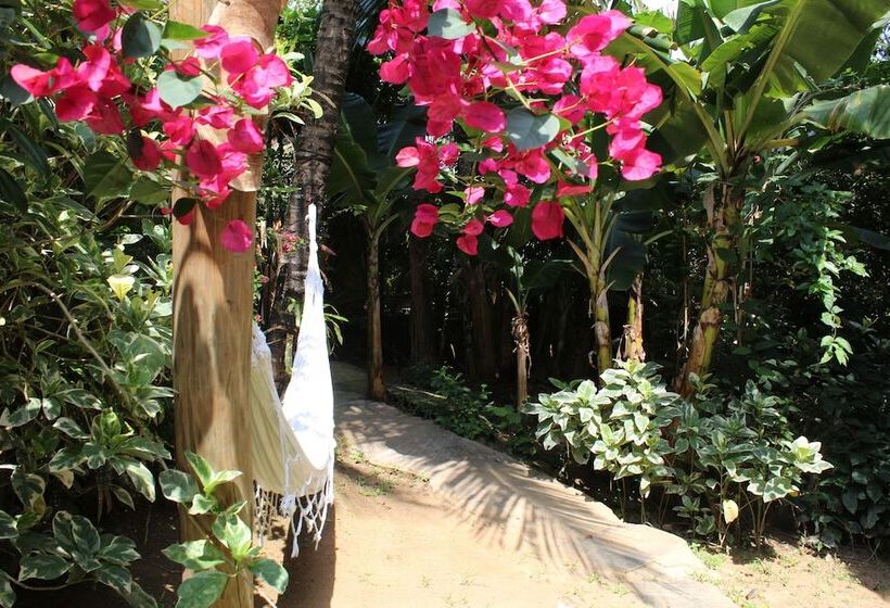 בית מלון כפרי Pousada Afrika