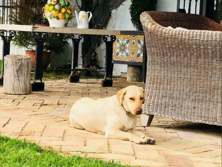 田舎風ホテル Hacienda La Indiana