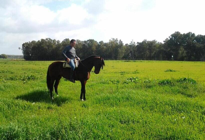 田舎風ホテル Hacienda La Indiana