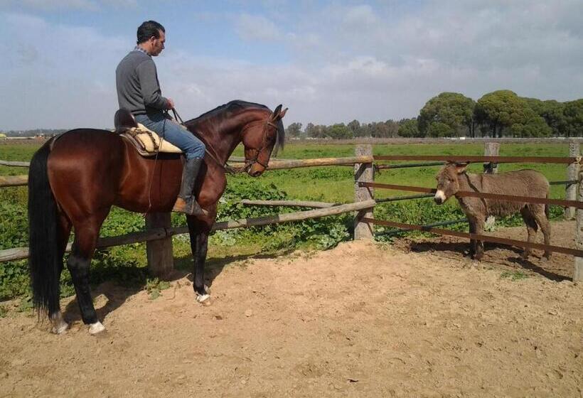 田舎風ホテル Hacienda La Indiana