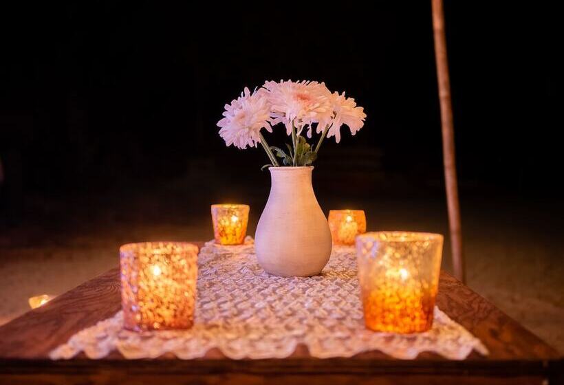 Marina Resort & Beach Club