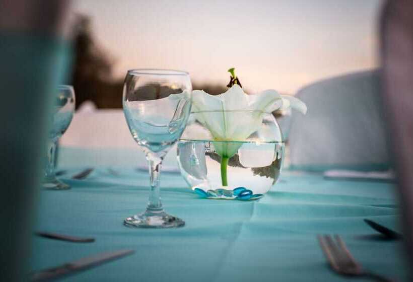 Marina Resort & Beach Club