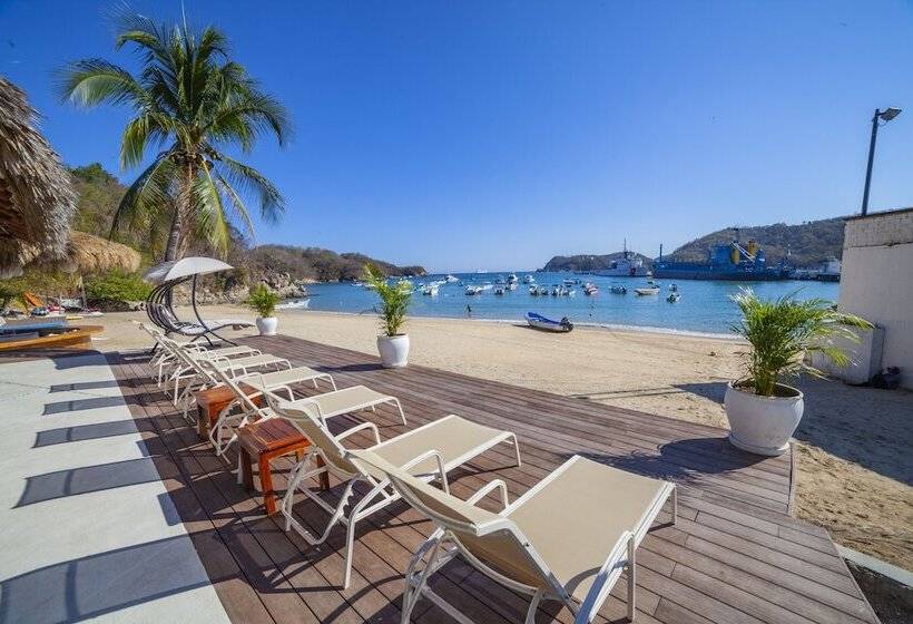 Marina Resort & Beach Club