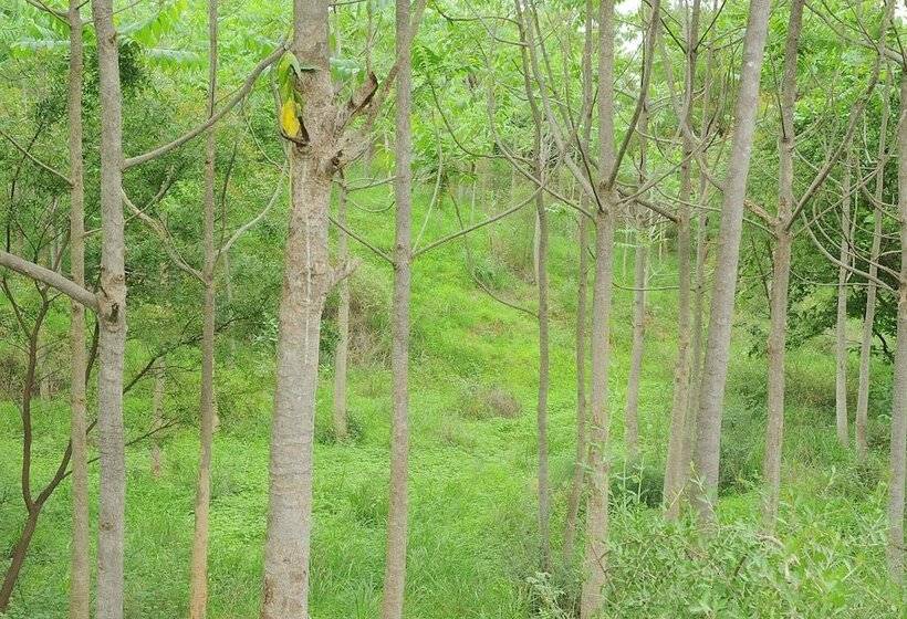 בית מלון כפרי Deshawar Resort