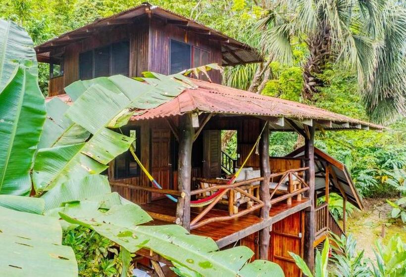 هتل Encanta La Vida