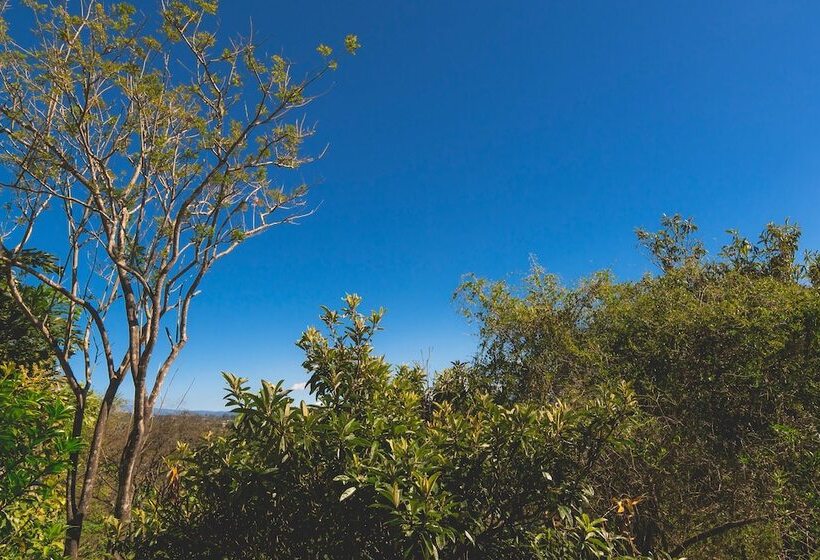 هتل Finca Rosa Blanca Coffee Farm And Inn