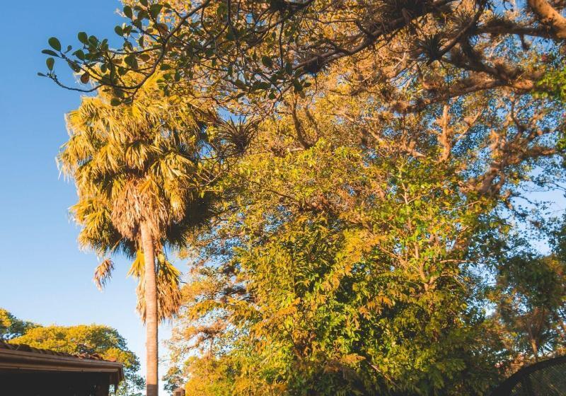 هتل Finca Rosa Blanca Coffee Farm And Inn