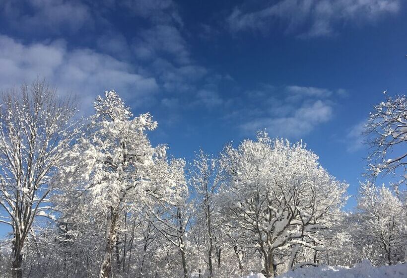 هتل Guest House Bunk