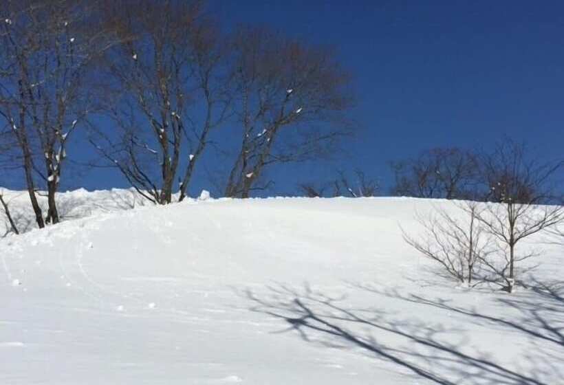 هتل Guest House Bunk