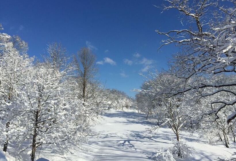 هتل Guest House Bunk