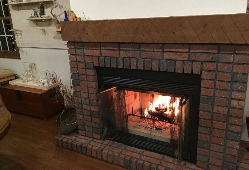 هتل Guest House Bunk