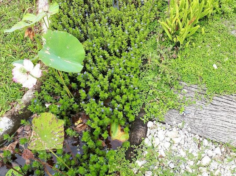 فندق Karuna Resort