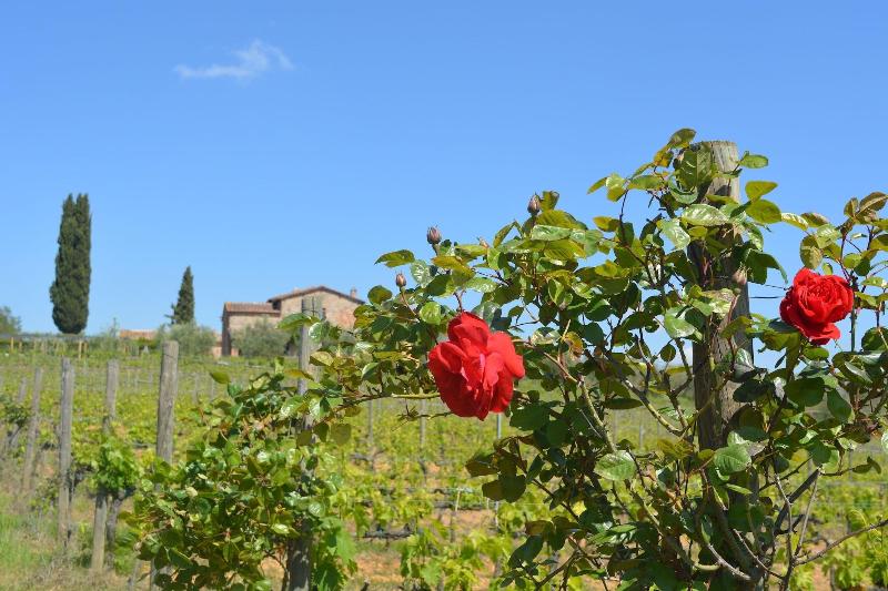 فندق La Caminata