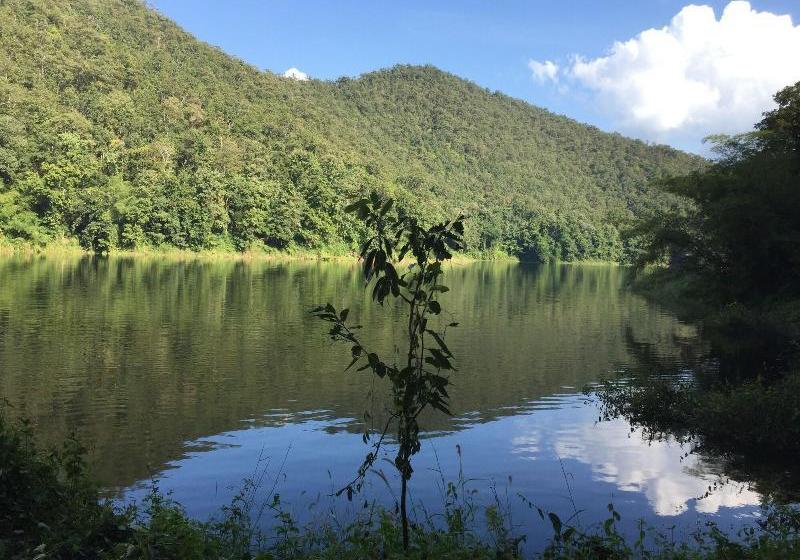 Отель Le Cocotier