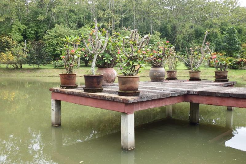 فندق Noks Garden Resort