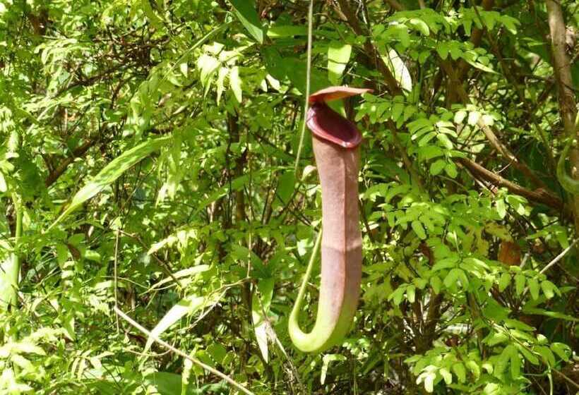 فندق The Last Frontier Boutique Resort