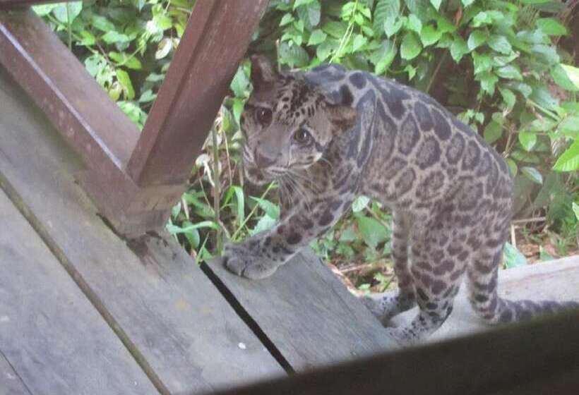 فندق The Last Frontier Boutique Resort