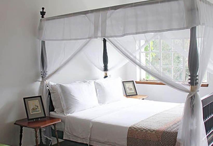 בית מלון כפרי The Planters House